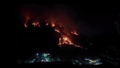 Photo of उत्तराखंड: बदरीनाथ हाइवे के ऊपरी इलाकों में रात भर धधकते रहे जंगल