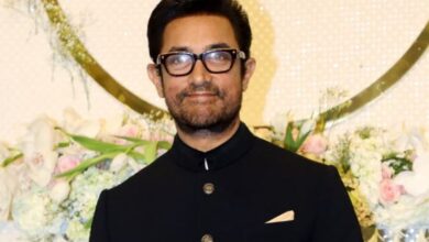 Photo of शाह रुख खान के बाद अब Aamir Khan भी बनेंगे ‘डॉन’