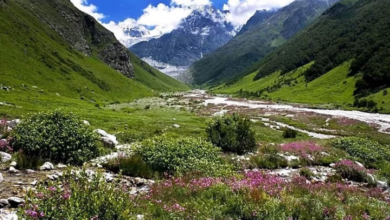 Photo of उत्तराखंड: आज पर्यटकों के लिए खुल जाएगी विश्व विख्यात फूलों की घाटी