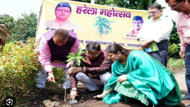 Photo of मुख्यमंत्री धामी ने हरेला पर्व को भव्य रूप से मनाने के दिए निर्देश