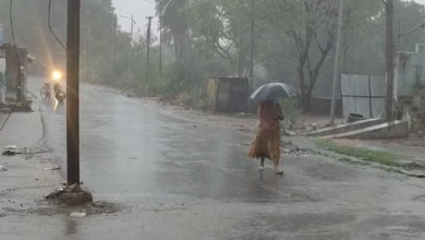 Photo of बिहार के इन चार जिलों में बारिश का अलर्ट, पटना में उमस भरी गर्मी से लोग परेशान