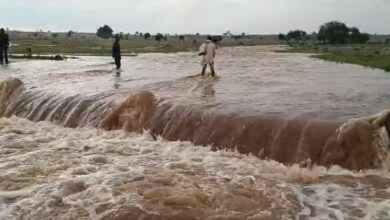 Photo of दमोह: तेज बारिश से जंगली नालों में आया उफान